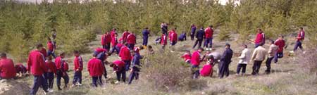Erzurum Yolu üzerinde İl Özel İdaresine ait ağaçlandırma mevkiinde gerçekleşen çalışma ile bölgeye 1000 fidan dikildi