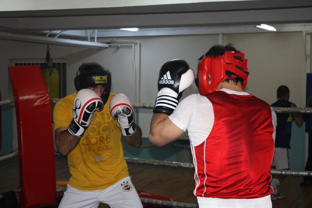 AIBA Pro Boxing'te Onur Şipal rüzgarı