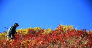 Bayburt'ta sonbahar güzelliği
