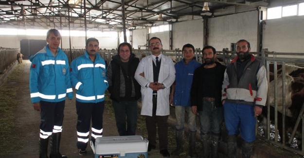 Bayırtepe'li çiftçiye DAP'tan destek