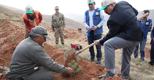 Ustaoğlu: "Ağaçlandırma projeleri artacak"