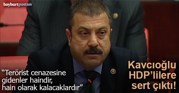 Kavcıoğlu, HDP'li vekillere sert çıktı!