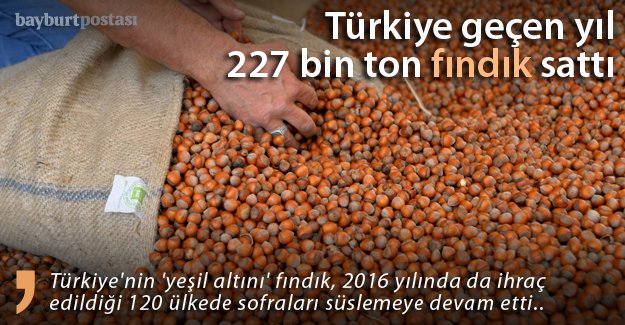 Türkiye geçen yıl 227 bin ton fındık sattı