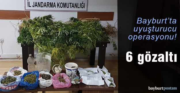 Jandarmadan uyuşturucu operasyonu: 6 gözaltı