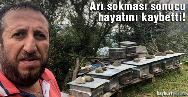 Bal üreticisi arı sokması sonucu hayatını kaybetti