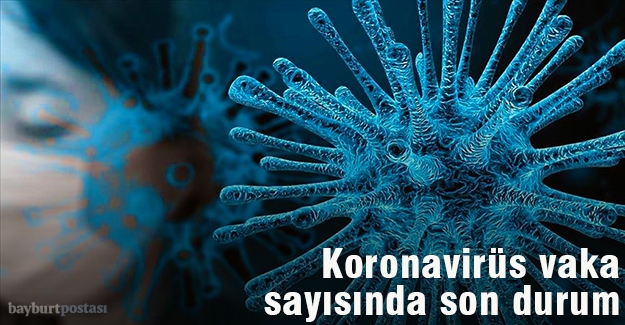 Koronavirüs pozitif vaka sayısı 500'ü buldu!