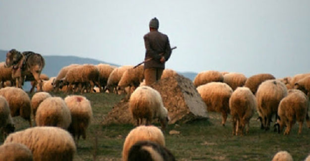 Bayburt'ta 15 çobana sertifika verildi