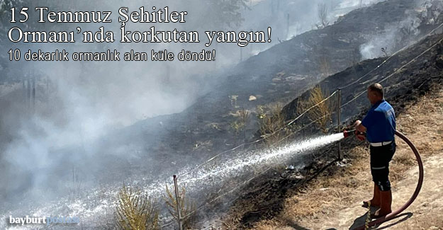 Bayburt 15 Temmuz Şehitler Ormanı'nda korkutan yangın!