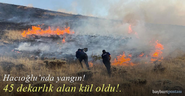 Hacıoğlu köyündeki yangın 45 dekarlık alanı kül etti!