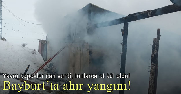 Bayburt'ta ahır yangını: Yavru köpekler can verdi, tonlarca ot kül oldu!