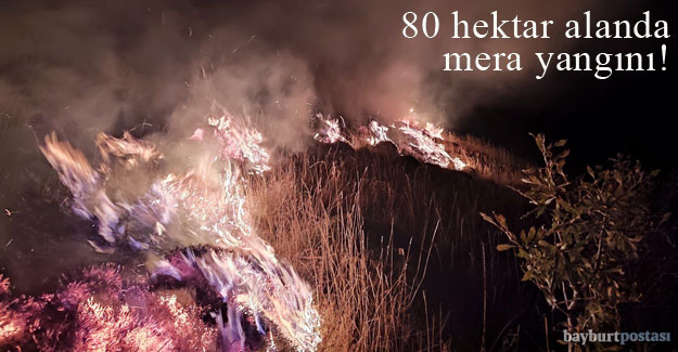 Bayburt'ta 80 hektar alanda mera yangını!