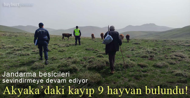 Akyaka köyündeki kayıp 9 hayvanı Jandarma buldu!