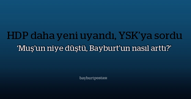 HDP: "Bayburt'un vekil sayısı nasıl arttı?"