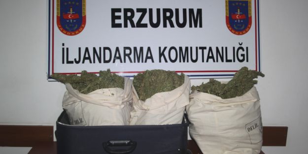 Jandarma, 15 kilogram esrar ele geçirdi