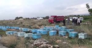 Bayburt'ta arı kovanı hırsızlığı iddiası