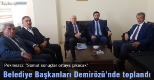 Belediye Başkanları güç birliği için Demirözü'nde toplandı