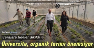 Bayburt Üniversitesi'nde Organik Tarım Çalışmaları