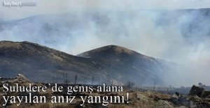 Suludere'de 60 hektar alanda anız yangını!