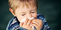 GDO çocuklarda alerjiyi tetikliyor