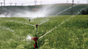 Bayburtlu çiftçiye sulu tarım müjdesi